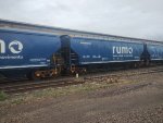 RUMO HTT-352244-0